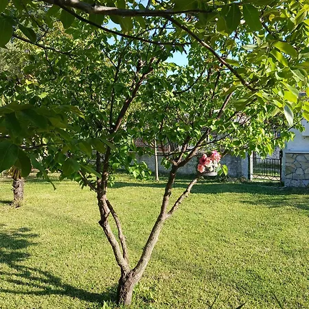 Holiday home Kanela House Nea Kallikrateia